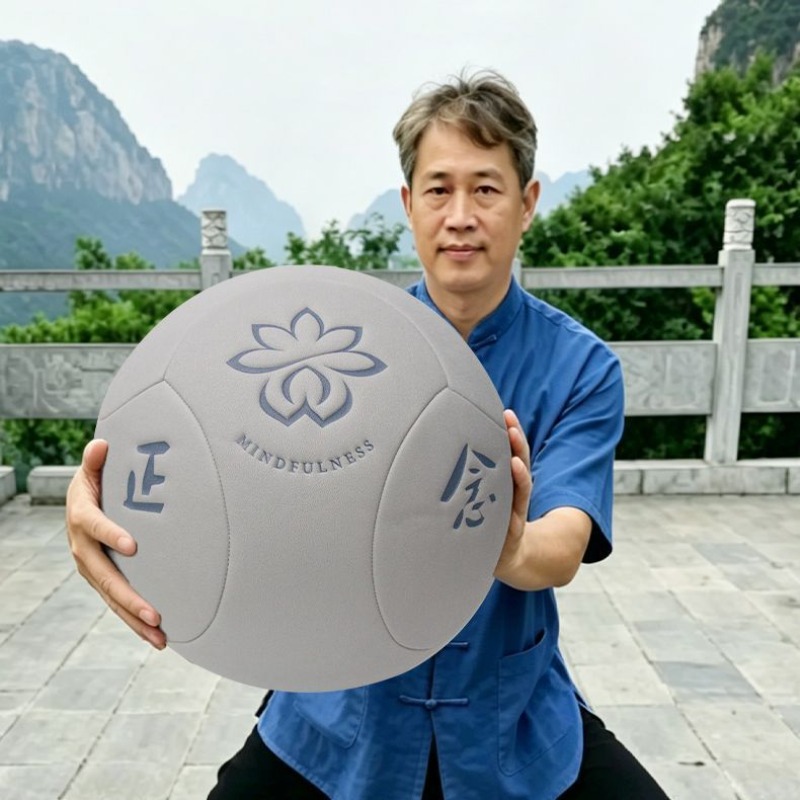 Yoga Health & Fitness Center - Grande Palla Portatile per Tai Chi,